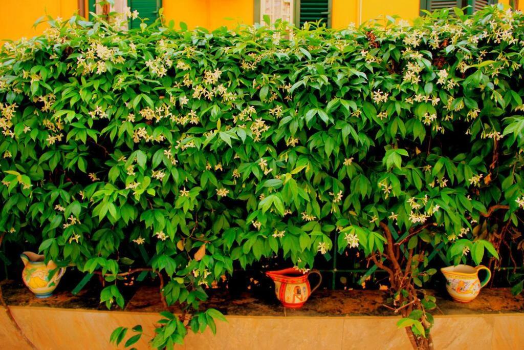 Casa E Per Vacanze Bonifazi Holiday home Rome